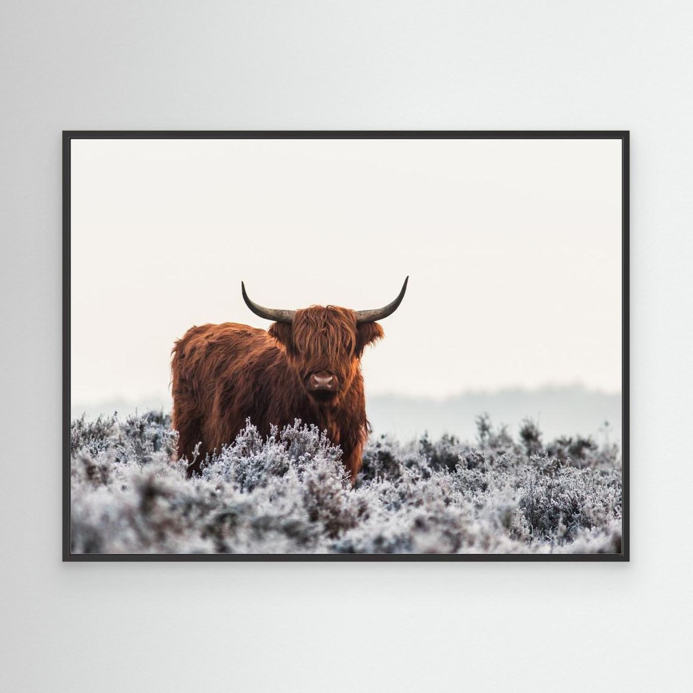 Highlander by Jaap Van Den Helm