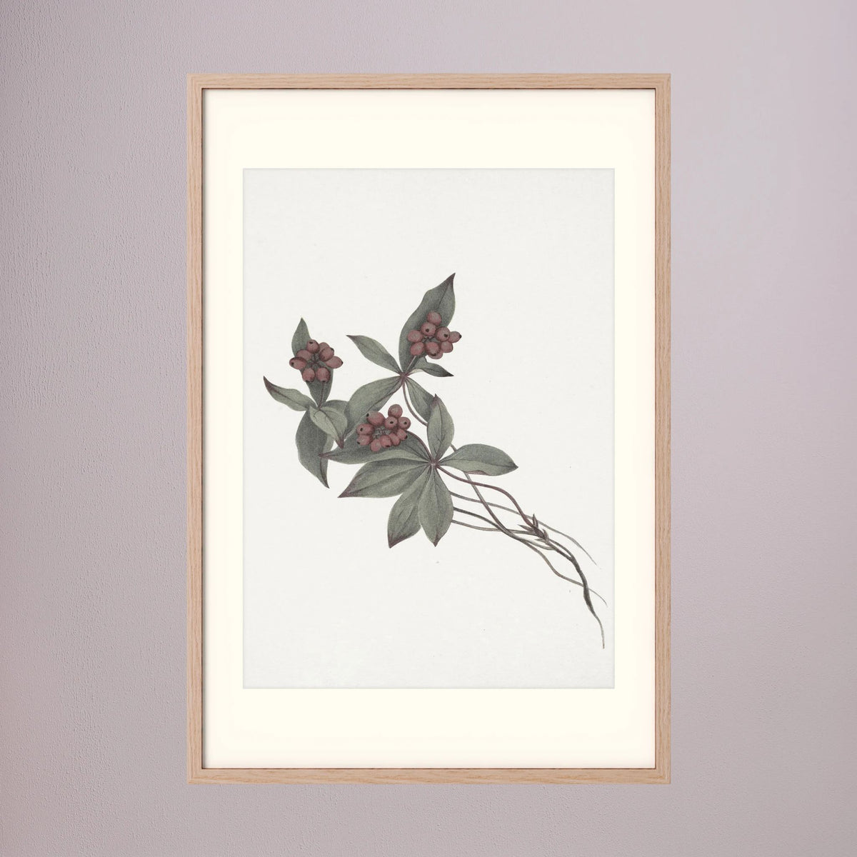 Pink Botanical Branch Study Vintage Wall Art Print Oak Nature Freja