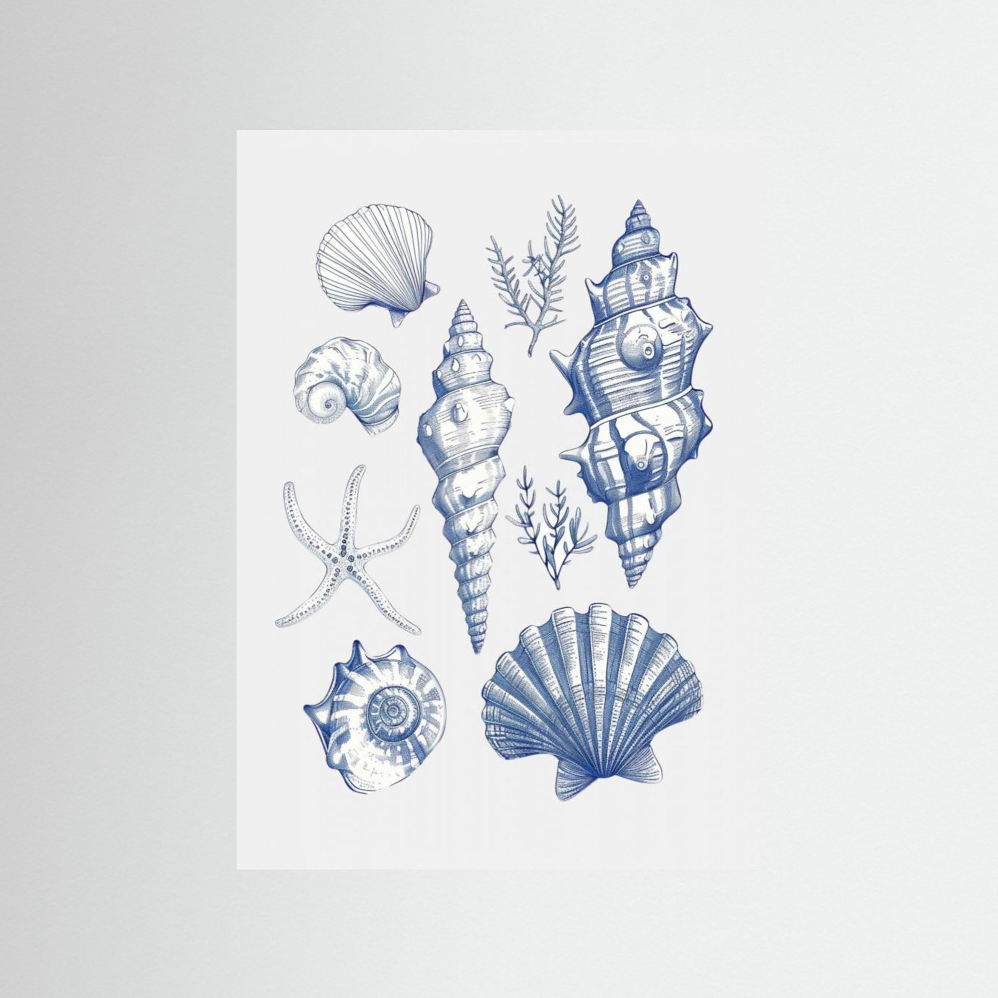 Shell Collage by Jolly And Dash No Frame No border