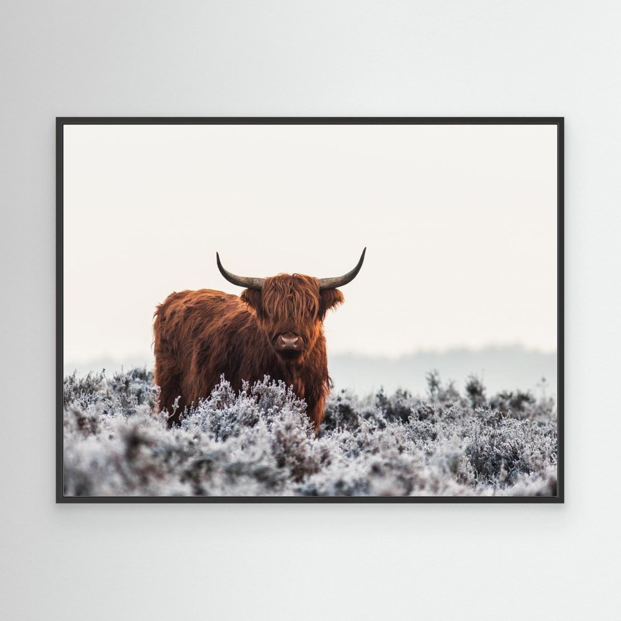 Highlander by Jaap Van Den Helm Black