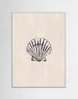 Seashell by Ivy Green Illustrations White Wood No border