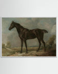 Horse Art Print White Wood No border