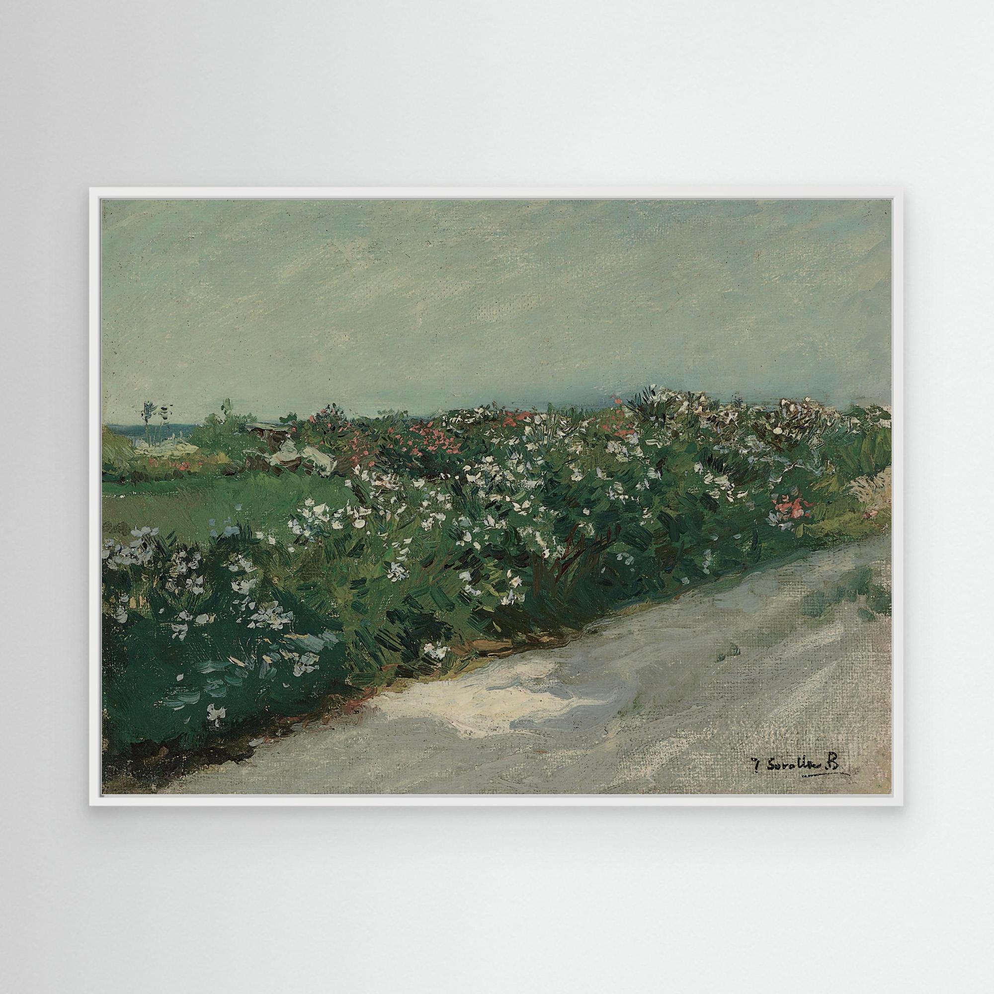 Countryside Road with Flowers | Canvas White