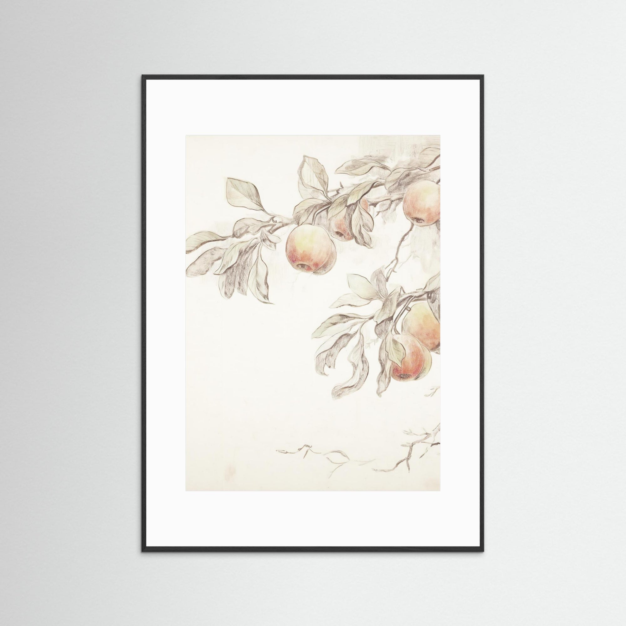 Peach Tree Botanical Art Print Black Wood White