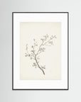 Floral Branch Sketch Wall Art Black Wood White