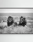 Two kings by Nicolás Merino Black