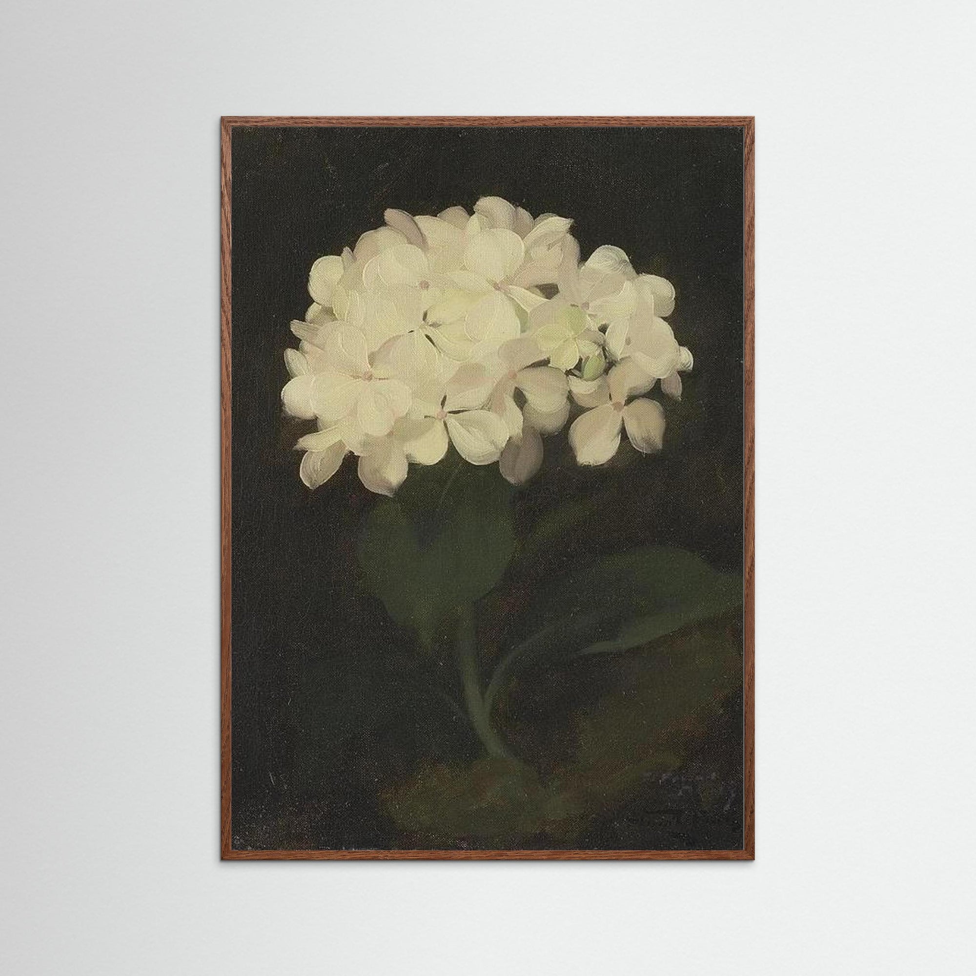 Timeless Hydrangea Bloom Wall Art Oak Dark No border