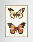 Butterfly Illustration Fine Art Print Oak Nature No border