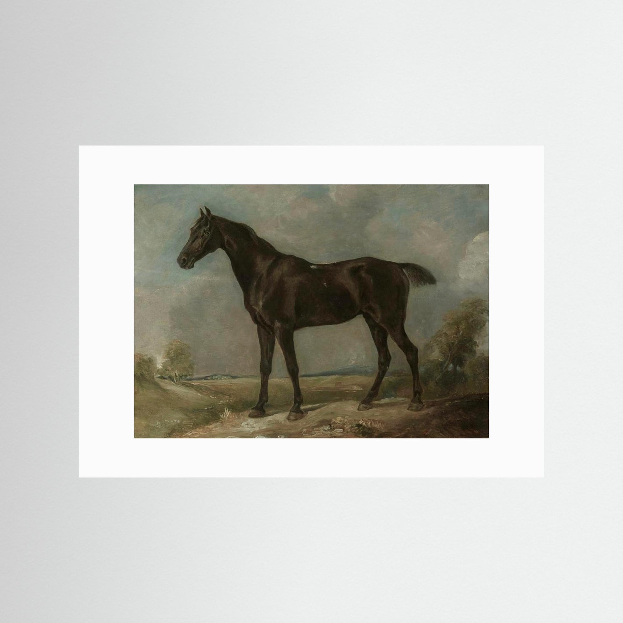 Horse Art Print No Frame White