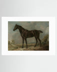 Horse Art Print No Frame White