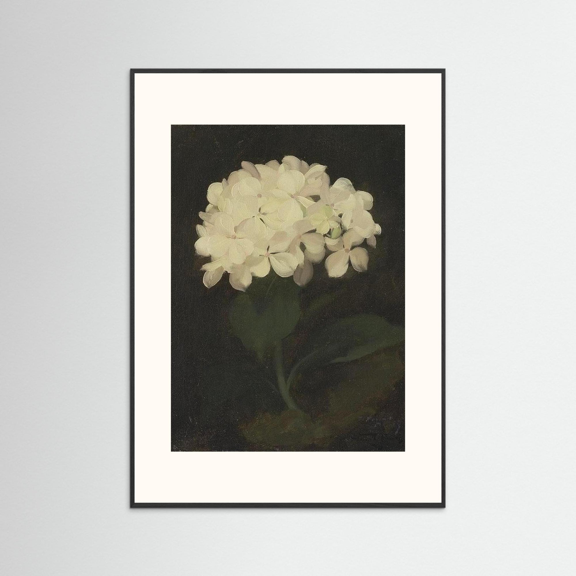 Timeless Hydrangea Bloom Wall Art Black Wood Freja