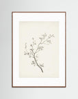 Floral Branch Sketch Wall Art Oak Dark White