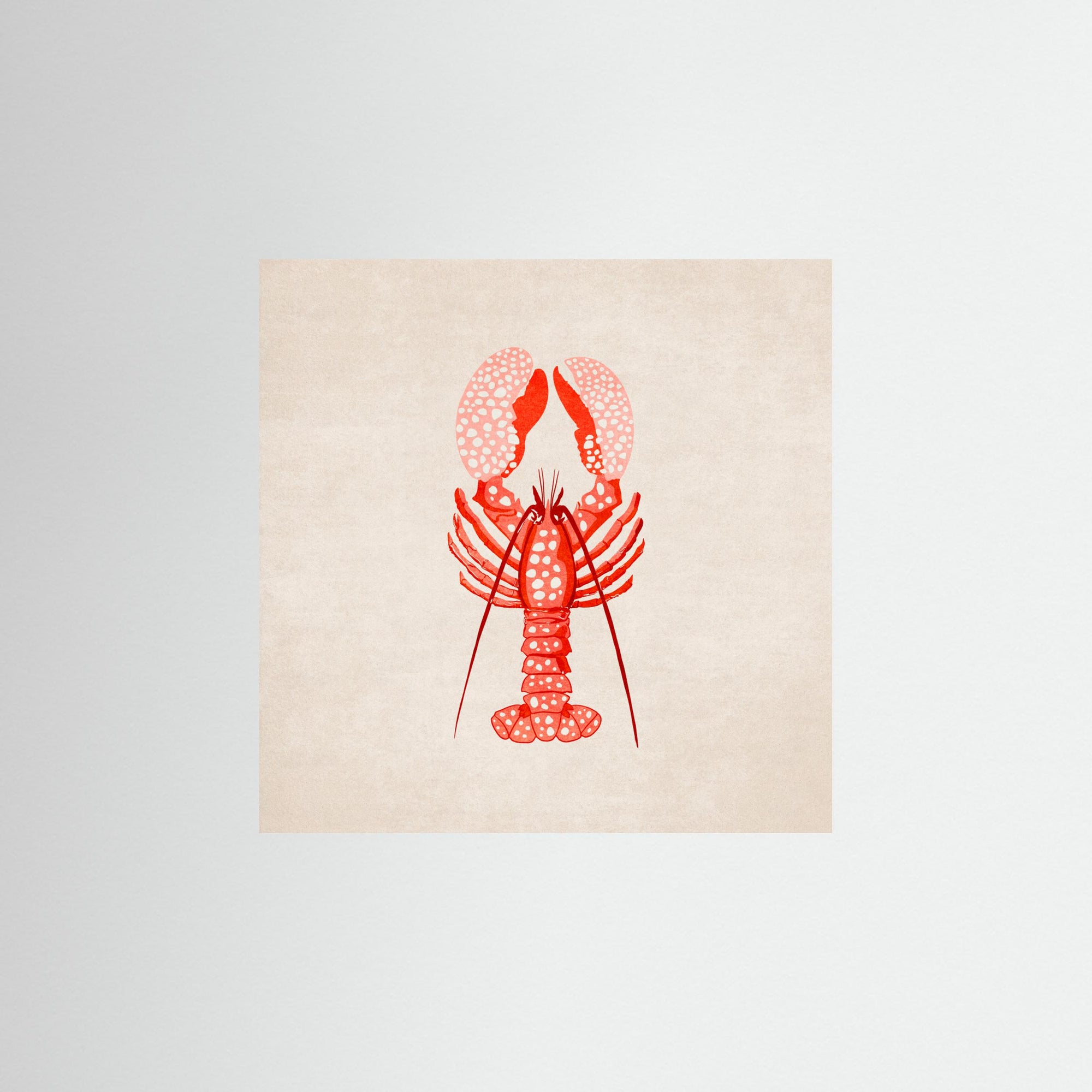 Istakoz by Emel Tunaboylu No Frame No border