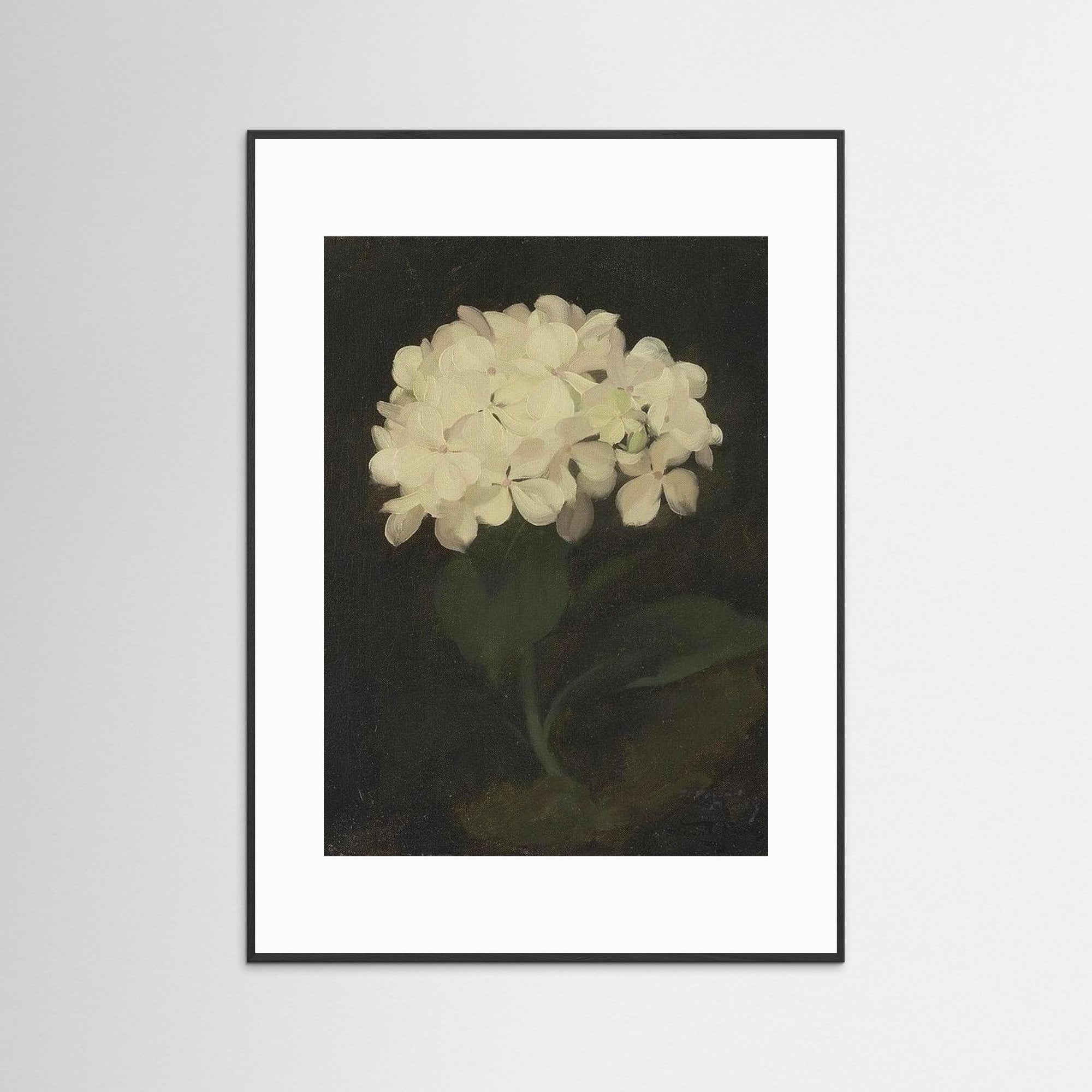 Timeless Hydrangea Bloom Wall Art Black Wood White