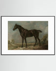 Horse Art Print Black Wood White