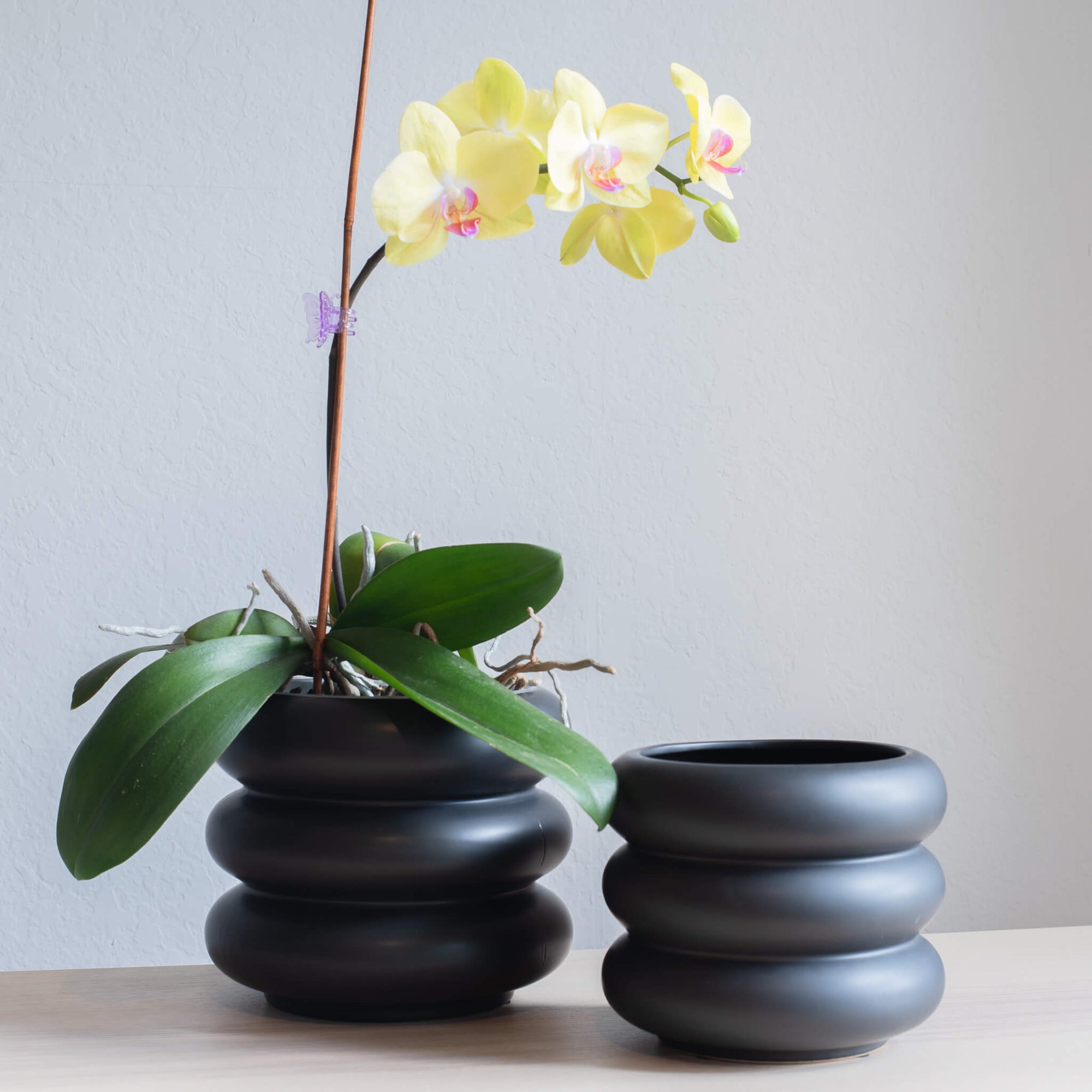 Iggy Rippled Modern Planter | Black