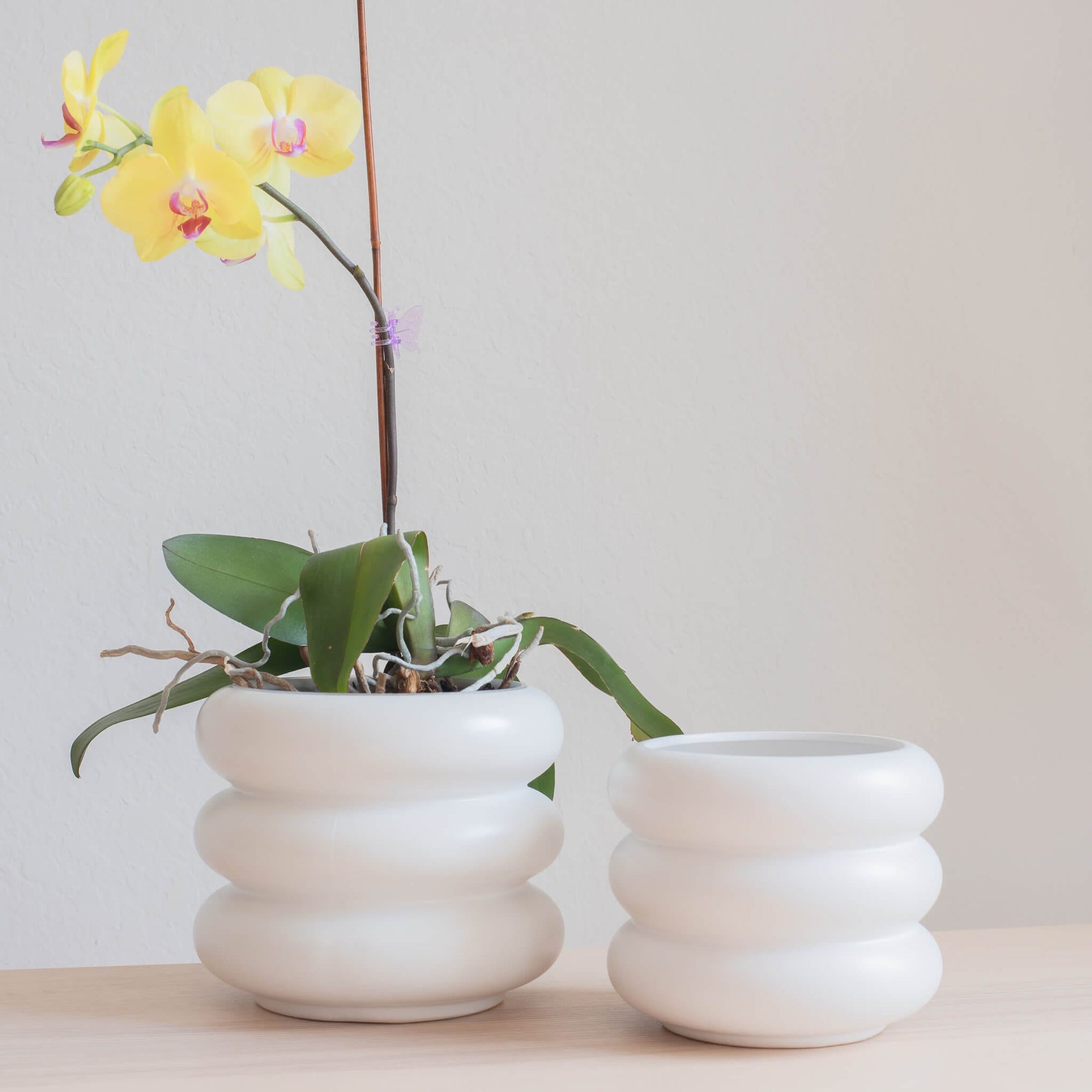 Iggy Rippled Modern Planter | White