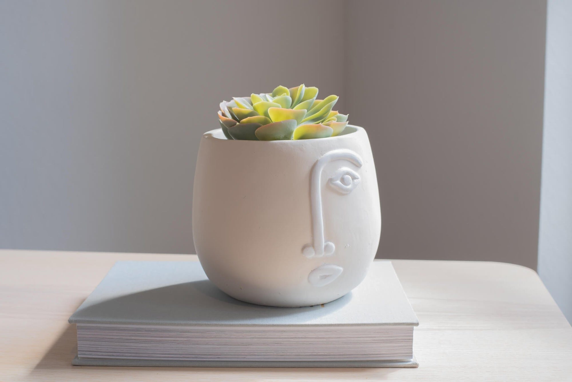 Kai Cement Face Planter - Apartment No.3